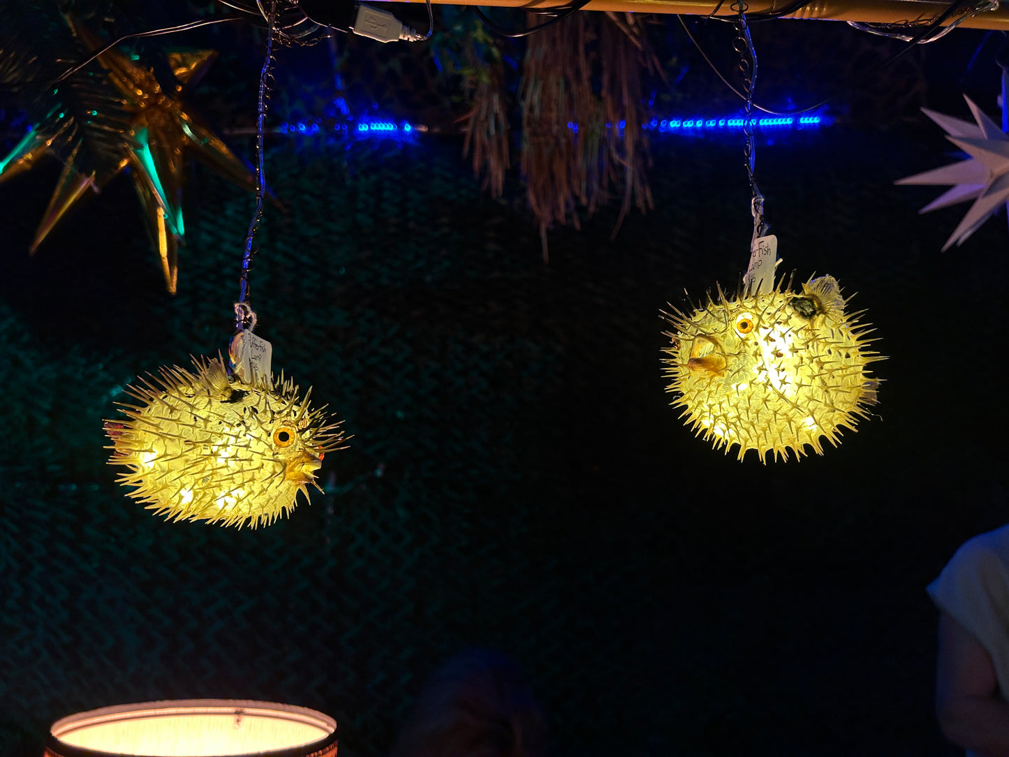Hanging Puffer Fish Lamp
